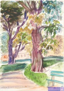 Kalendarium życia Marii Brodackiej 1904-1991