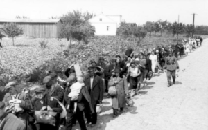Kalendarium życia Marii Brodackiej 1904-1991