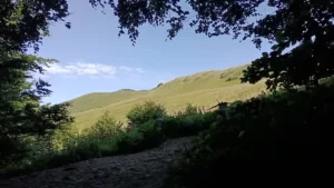 Sercu bliskie Bieszczady, sercu bliskie Lesko