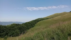 Sercu bliskie Bieszczady, sercu bliskie Lesko