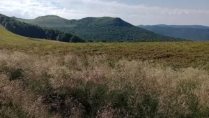 Sercu bliskie Bieszczady, sercu bliskie Lesko